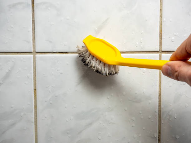 Best Toxic Mold Removal  in Magnolia, TX