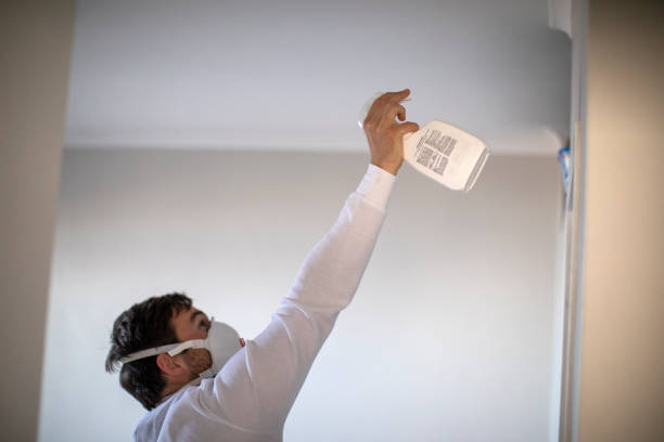 Best Local Mold Removal Service  in Magnolia, TX