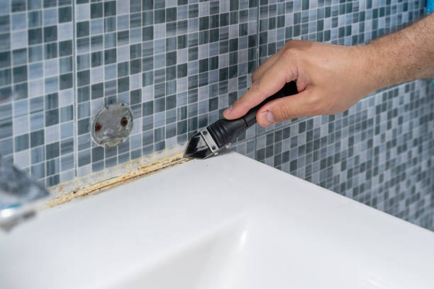 Office Mold Removal Services in Magnolia, TX
