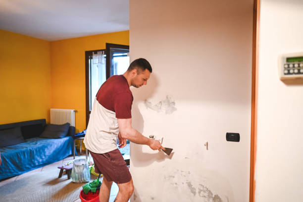 Mold Removal and Inspection in Magnolia, TX